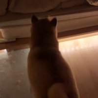 意気揚々とベッドへ♪