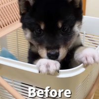 はるちゃんの成長2