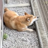 普段からこの場所がお気に入り