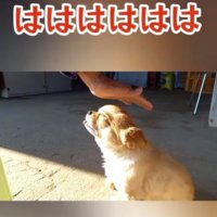 「あっははは」