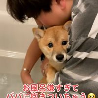 ママを見るまろ君