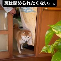 オヤツに釣られることはなかった