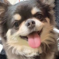仲睦まじい兄弟でした♡