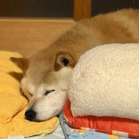 ぐっすり