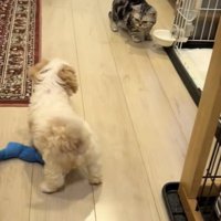 みるちゃんを発見！