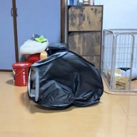 つぶれながら転がるサークル