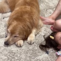 家に帰ると歯磨きです