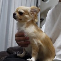 再び甘えん坊モード♡