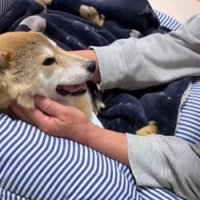 穏やかな笑顔で家族を見る