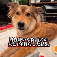 ラッキーくん