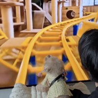 映像なのに、とってもリアル