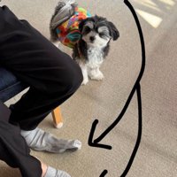 ニウちゃんとおじいちゃん6