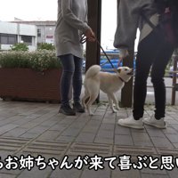 お姉ちゃんが来たら…