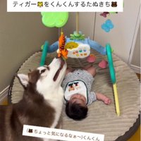 チラチラとおもちゃをチェック