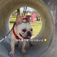 キラキラの笑顔で公園を満喫中