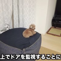 一旦冷静になってみた