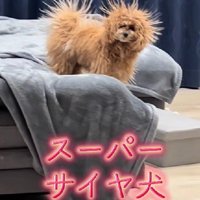 毛が逆立ってる！！