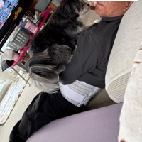 ニウちゃんとおじいちゃん8