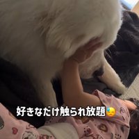 怒らず受け止めるとと丸ちゃん