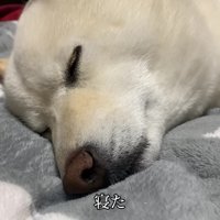 満足そうな姿にホッコリ