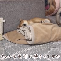大満足のうにくんでした
