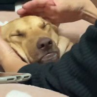 完全に脱力状態に