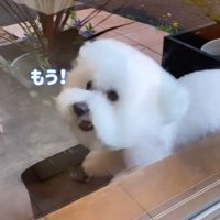 ショーンくんのお迎え6