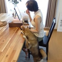 おはぎちゃんは興味津々