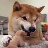 軽く唸って応戦