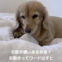 「ねむいフリしとこ…」