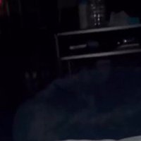 深夜にトイレに行ったら…