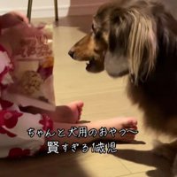 可愛い密会にホッコリ