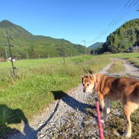 豊かな自然の中をお散歩♪