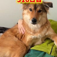 お迎えから約1年後
