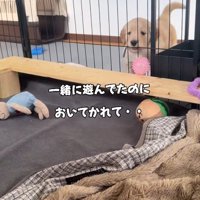 「置いて行かれた…」