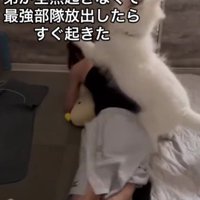 「ホラ！早く早く！！」