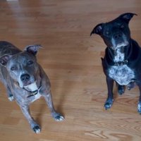 血が繋がっていないけど…