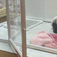 サークル