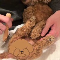マッサージの時間も好き