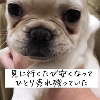 売れ残ってしまった