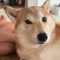 もっぴちゃんのアップ
