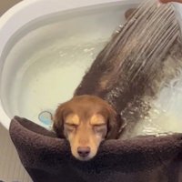 愛を感じるワンシーンでした