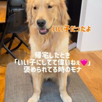 得意気な顔でお出迎え