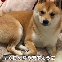 優しさにほっこり♪