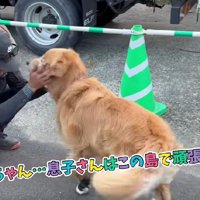温かな光景に思わずホッコリ