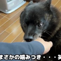 思わずパパをガブリ！