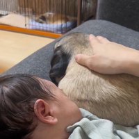 あぽ君とのえる君と赤ちゃん6