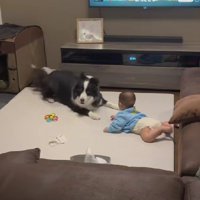 静かに見つめる赤ちゃん