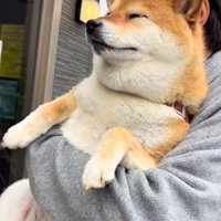 目をつぶるあーちゃん