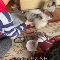 「これ、なんだろうね？」